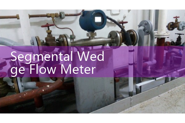 Segmental Wedge Flow Meter: Differential Pressure Probes for Sticky Slurries